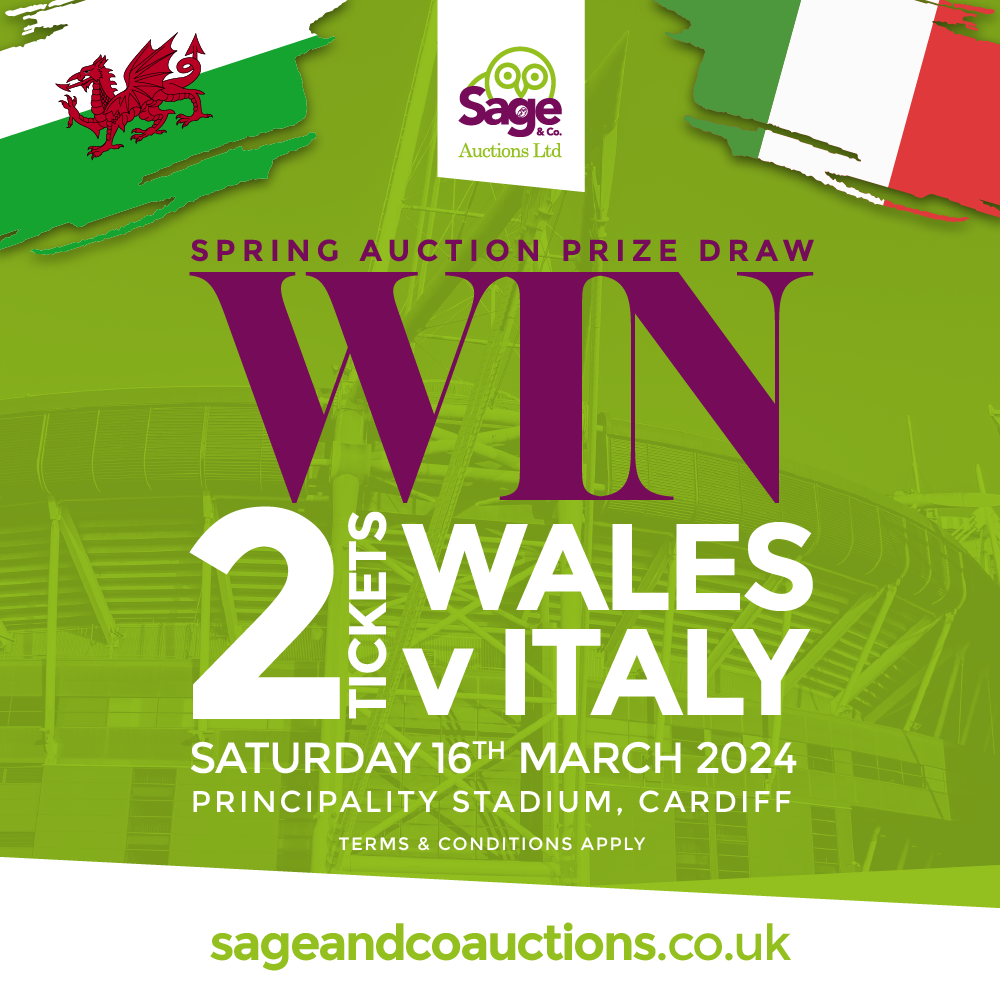 Win x2 tickets to see wales v Italy