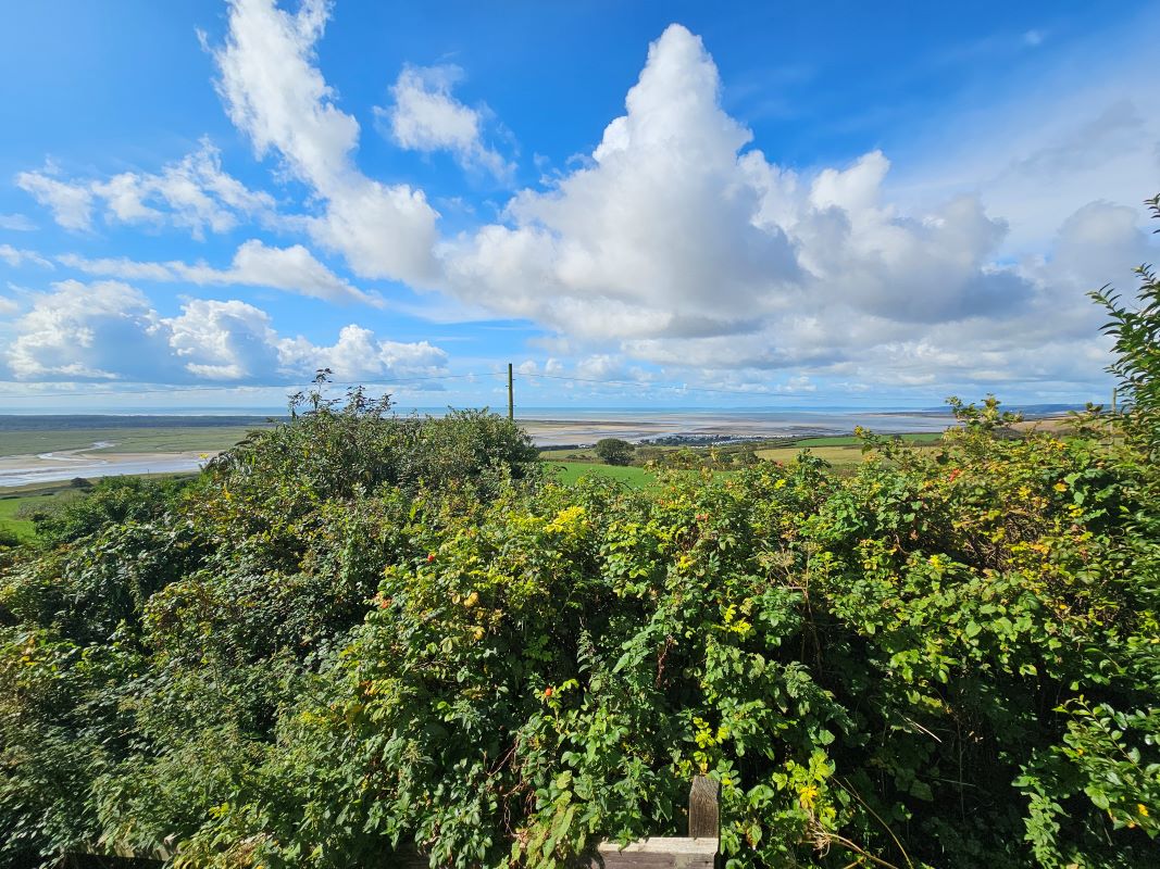 September Auction Round-Up